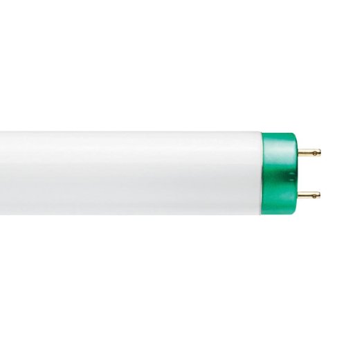 32 Watt 48 5000K Bulb (F32T8/TL750/ALTO)