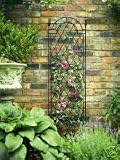 175m Spiral Trellis