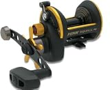 Penn Squall Star 6+1 Bearings 6.0:1 17/240 Line Capacity Drag Reel
