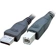 Accell A001B-003B USB 2.0 Hi-Speed Premium A/B Cable (3 Feet)