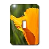314epfTw%2BTL. SL160  Patricia Sanders Flowers   Orange California Poppy   Light Switch Covers   single toggle switch