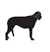 Hound Dog Pet Irish Wolfhound Car Truck Vehicle Bumper Helmet Decal Sticker Wall Art Laptop Design Skin Stickers