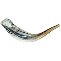 Shofars