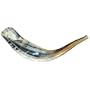 Shofars