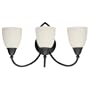 Sea Gull Lighting 40075-799 Pemberton Three-Light Vanity, Peppercorn Finish with Pompeii Cream Etched Glass