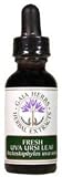 Uva Ursi Leaf 1 oz.