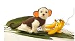 Dog Costume - Monkey Pet Halloween Costume - X-Large (XL)