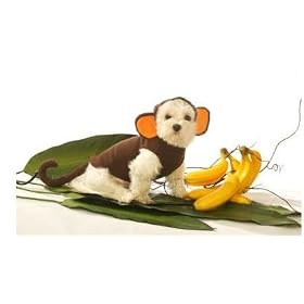 Dog Costume - Monkey Pet Halloween Costume - X-Small (XS)