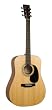 Recording King Classic Series I Acoustic Dreadnaught Guitar (Mahogany)