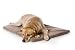Pyara Paws Memory Foam Bed Size Small