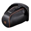 Sony LCS-AMLC3 Soft Carrying Case