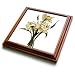 Flowers Narcissi - 8x8 Trivet With 6x6 Ceramic Tile