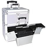 Professional Rolling Makeup Case in Silver (Silver) (18