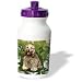 cocker_spaniel9cocker spaniel - Dogs Cocker Spaniel cocker Spaniel Water Bottles
