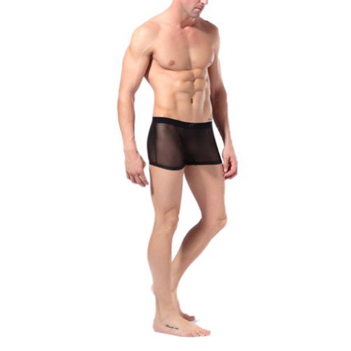 Urparcel Mens See Through Boxer Underwear Bikini Boxer Smooth Mesh Briefs