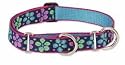 Lupine Large Martingale Style Dog Collar - Flower Power 15-22"