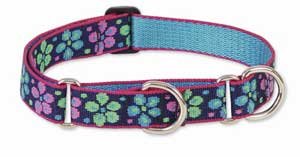 Lupine Large Martingale Style Dog Collar - Flower Power 15-22