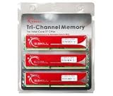 G.Skill 6 GB PC1600 CL9  3x2GB Triple Channel KIT DDR3 Arbeitsspeicher