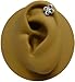 BodySparkle Body Jewelry Celtic Twist Cartilage Earring Straight Barbell-18 gauge Earring Steel Helix Piercing Barbell