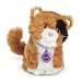 American Girl Just Like You Ginger Cat Pet
