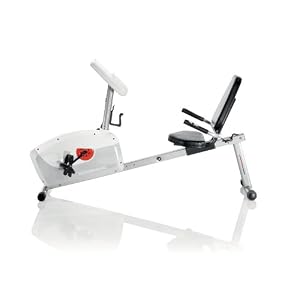 Schwinn A20 Recumbent Exercise Bike Schwinn A20 Image