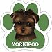 Yorkipoo Paw Shaped Car Magnet