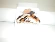 Hair Jaw Clip carmel black rounded edges