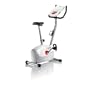 Schwinn A10 Upright Bike (MY2012)