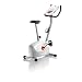 Schwinn A10 Upright Exercise Bike