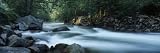 River Passing Through a Forest, Nantahala Falls, Nantahala National Forest, North Carolina, USA Photographic Poster Print by Panoramic Images , 36x12
