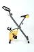 Golds Gym X Bike Exercise Bike