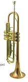 Wisemann DTR-400 Student Bb Trumpet Outfit
