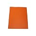2-Pocket Paper Portfolio with Prongs