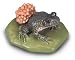 Midwife Toad (Alytesobstericans)