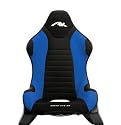 AK Rocker Skin