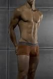 C-in2 Fall 07 Pop Color Low No Show Army Boxer Brief with Sling Support for Men - Orange