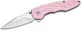 Buck 292 Impulse Assisted Opening Liner Lock Folding Knife (Pink/Stainless, Plain)