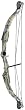 Bear Archery Warrior Bow Set