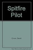 Spitfire pilot : a personal account of the Battle of Britain