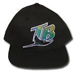 MLB TAMPA BAY DEVIL RAYS BLACK SNAP YOUTH KIDS HAT CAP