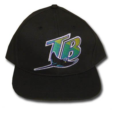 MLB TAMPA BAY DEVIL RAYS BLACK SNAP YOUTH KIDS HAT CAP