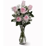 Roses- Six Pink Roses
