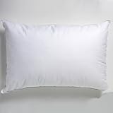 Linens Limited Polyester Pillows And Pillow Protectors, 2 Pack