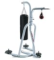Century Boxing Workout Station