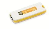 Kingston DataTraveler I G2 - USB flash drive - 4 GB - USB 2.0 - yellow (pack of 2 )