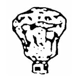 United States Hdwe. P-404C Faucet Diverter Knob United States Hdwe. P-404C Faucet Diverter Knob