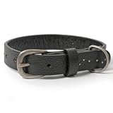 Black Leather Dog Collar with Studs M 13IN Black Leather Dog Collar with Studs M 13IN