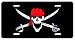 Pirate/Skull License Plate