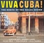 Viva Cuba: Roots of the Salsa Sound