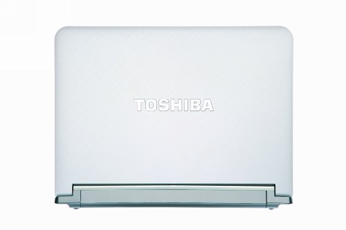 Toshiba Mini NB205-N311/W 10.1-Inch Frost Best Deals Online
